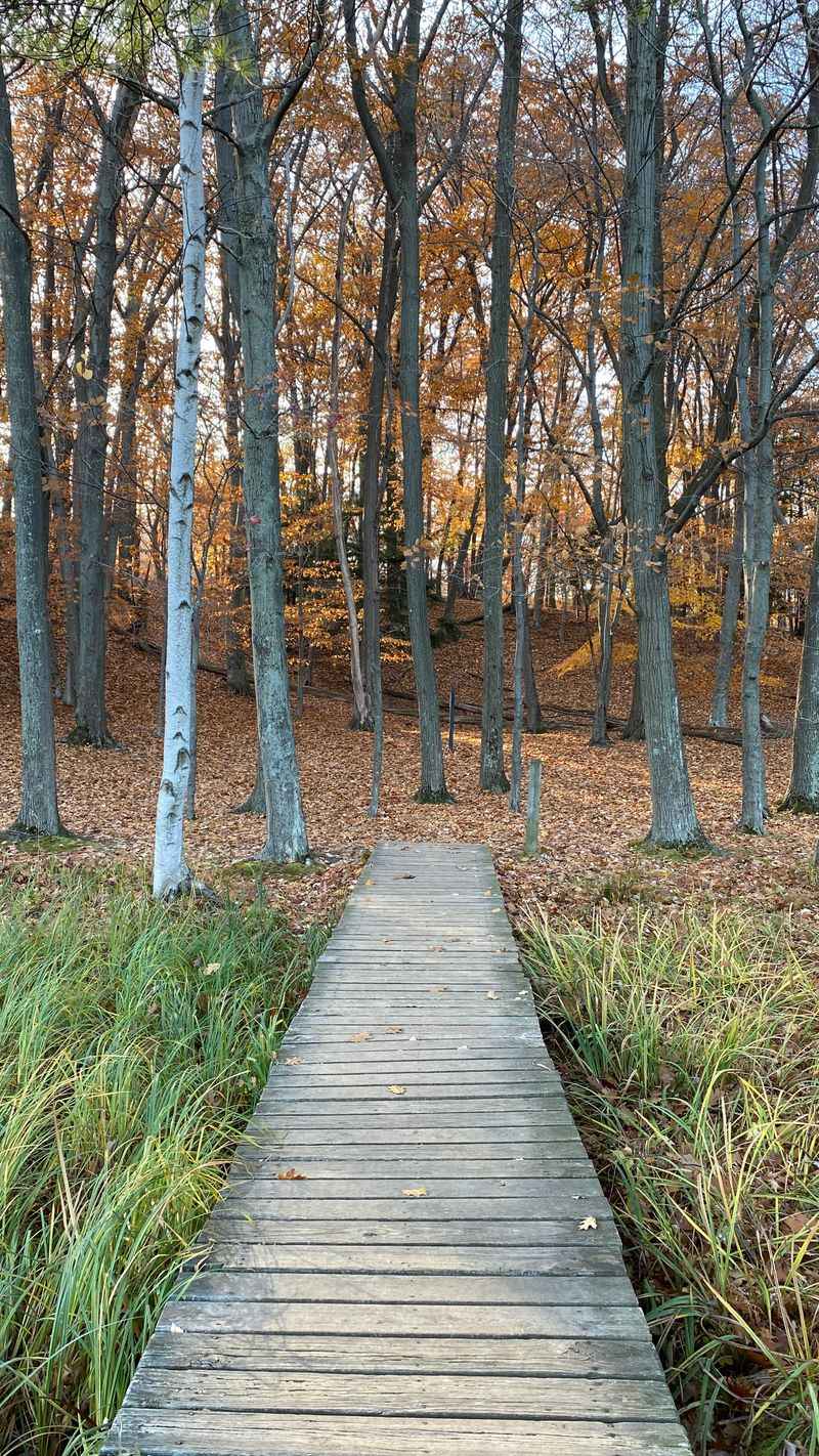 Seasonal Beauty: Fall Colors