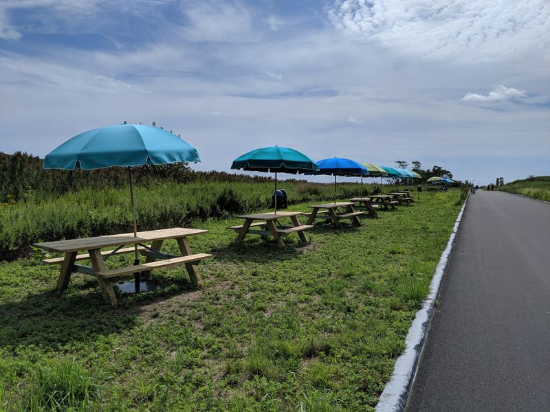 Family Friendly Adventure Loop