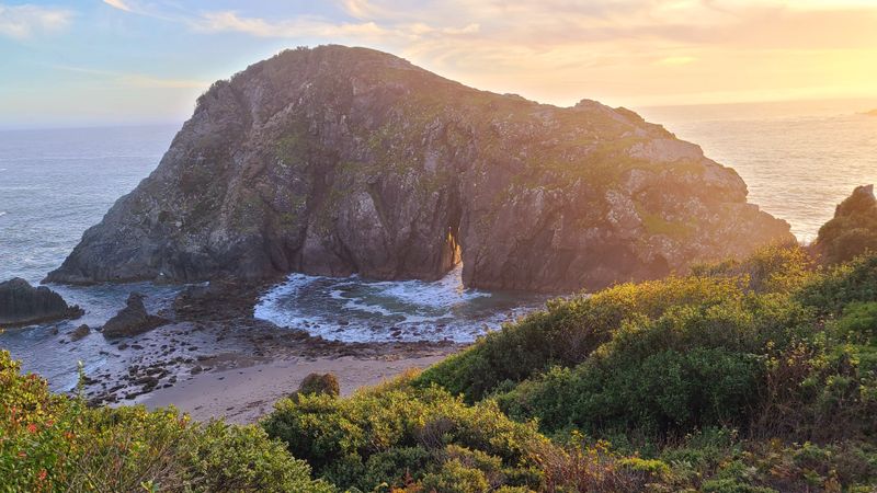 New Prediction Methods