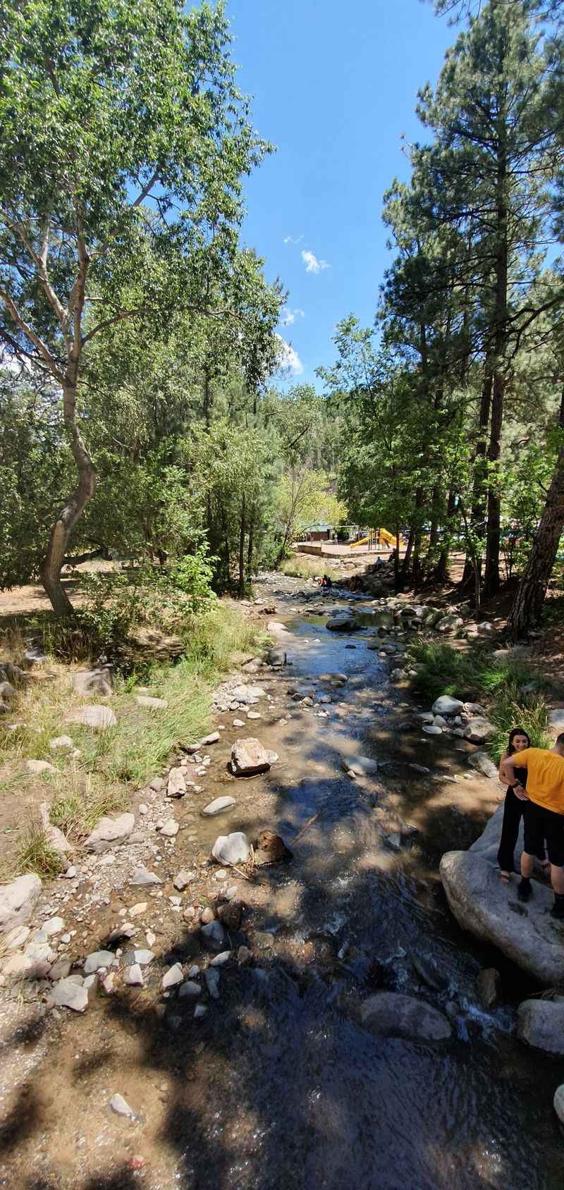 Lincoln National Forest