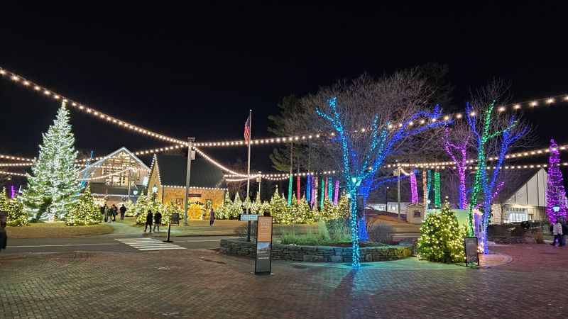 Walk Through a Storybook of Lights at L.L.Bean's Northern Lights (Freeport)