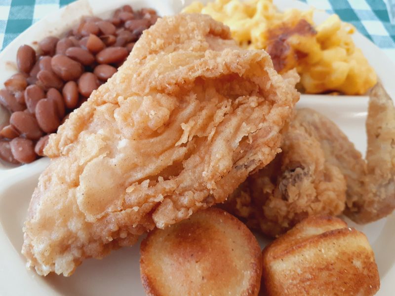 Daily Blue Plate Comfort