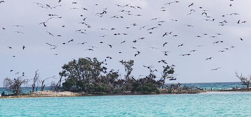 Bush Key Bird Sanctuary