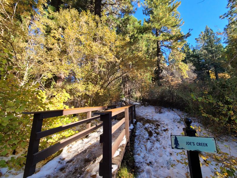 Heaps Peak Arboretum (Skyforest)