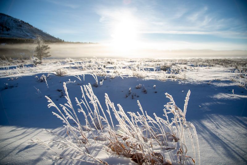 Winter changes how you experience Yellowstone