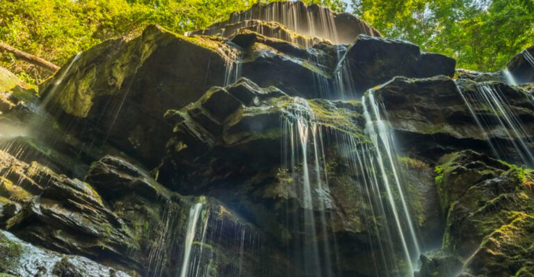 South Carolina’s ‘Land of Waterfalls’: A Nature Lover’s Paradise