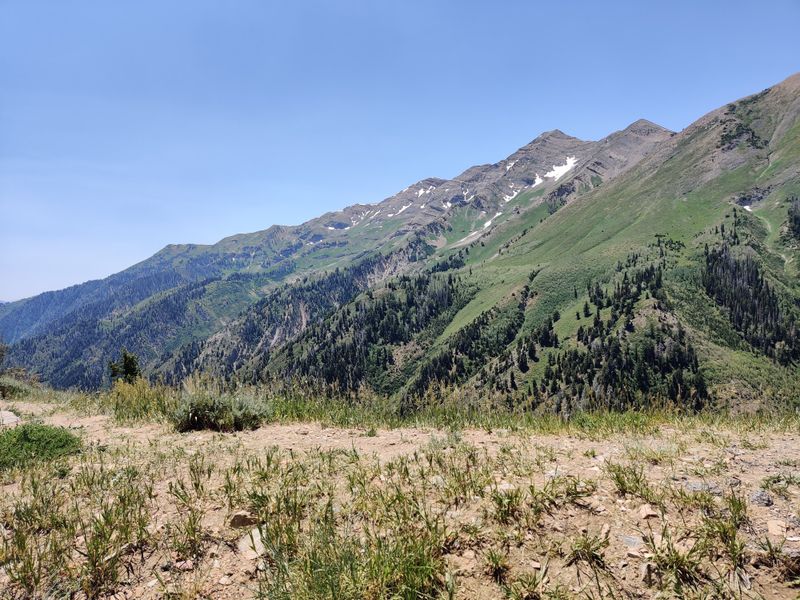 Nebo Loop / Payson Canyon