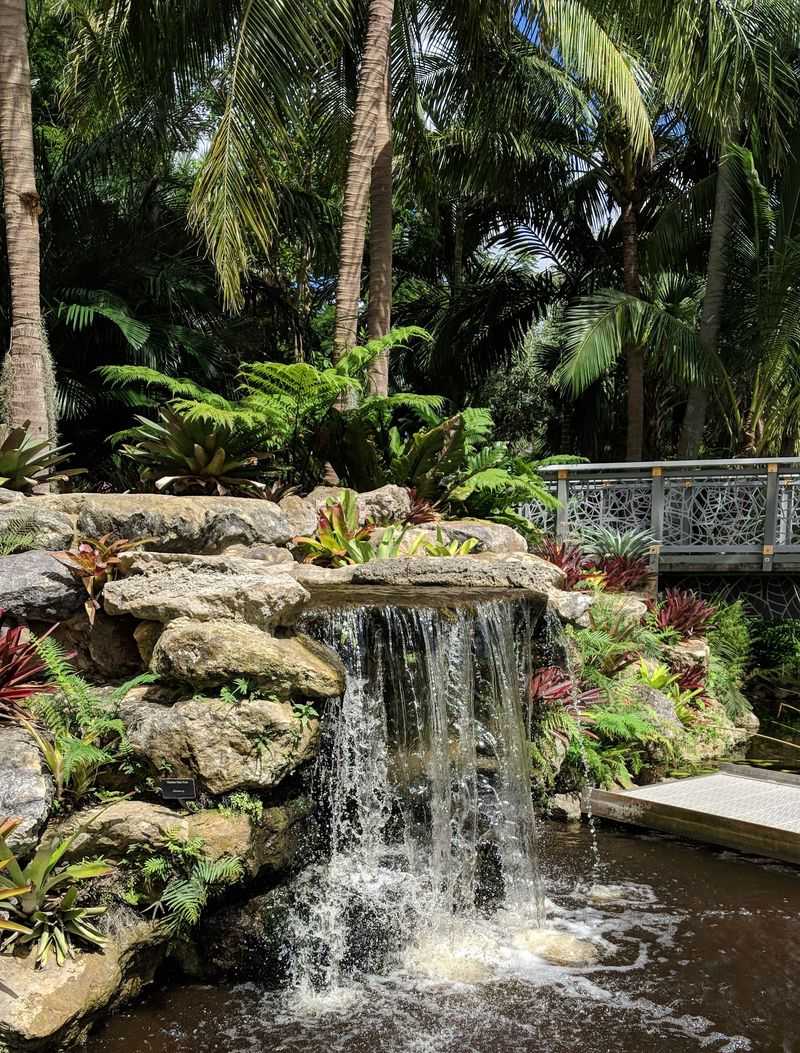 Mounts Botanical Garden