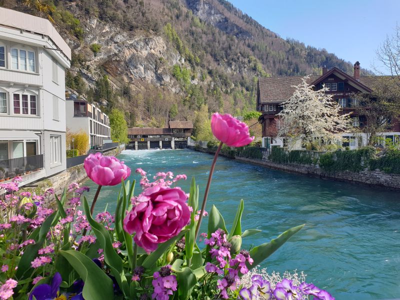 Interlaken – Between Two Lakes, Below Giant Peaks