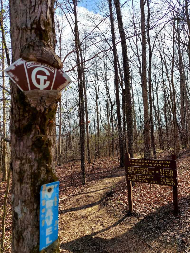 Bridge Above the Gorge