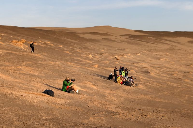 When Dust Meets Snow