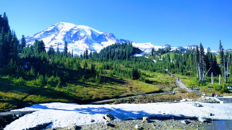 Winter Snowshoe From Paradise