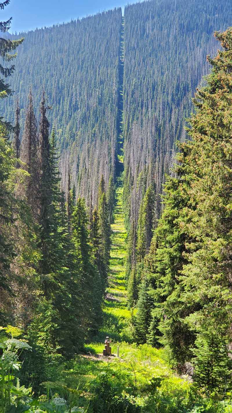 Pacific Crest Sections — USA