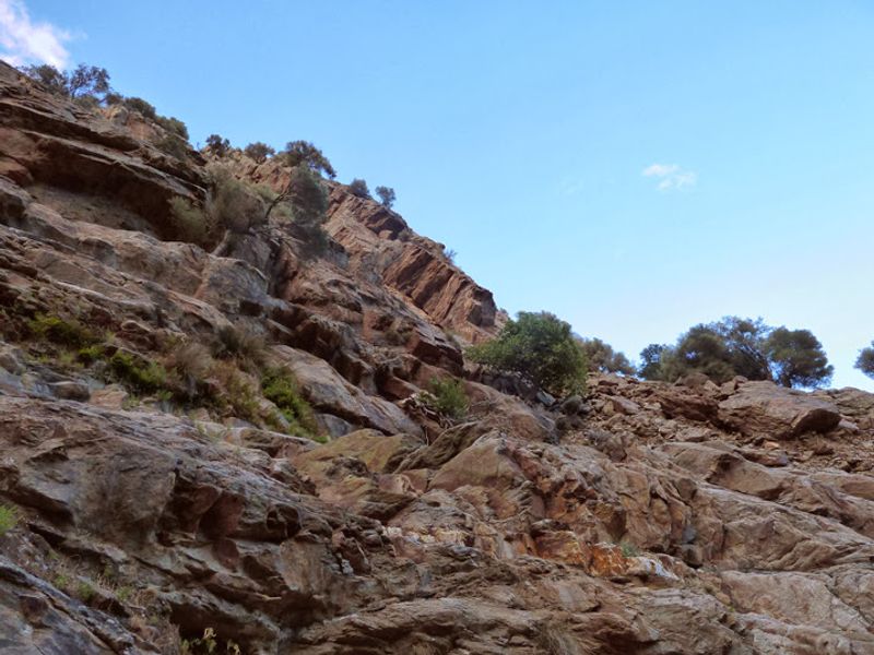 Wine Is Consumed Moderately - and Socially