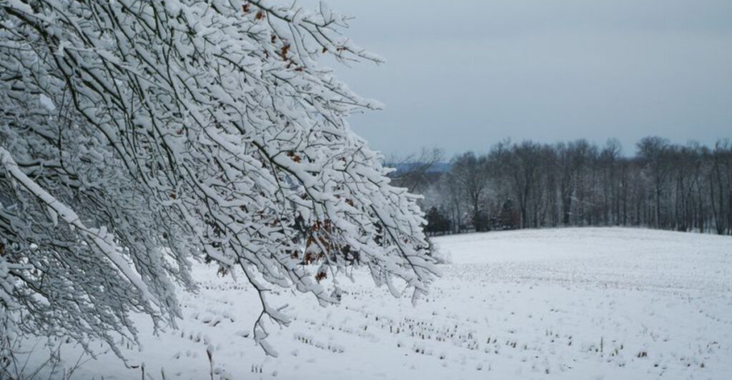 Strong Winter Storm Triggers State Emergencies as Millions in the Northeast Brace for Significant Snowfall