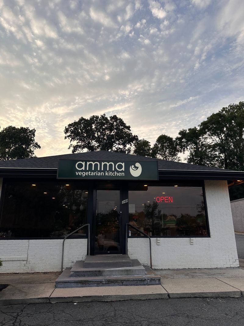 Amma Vegetarian Kitchen (Vienna)