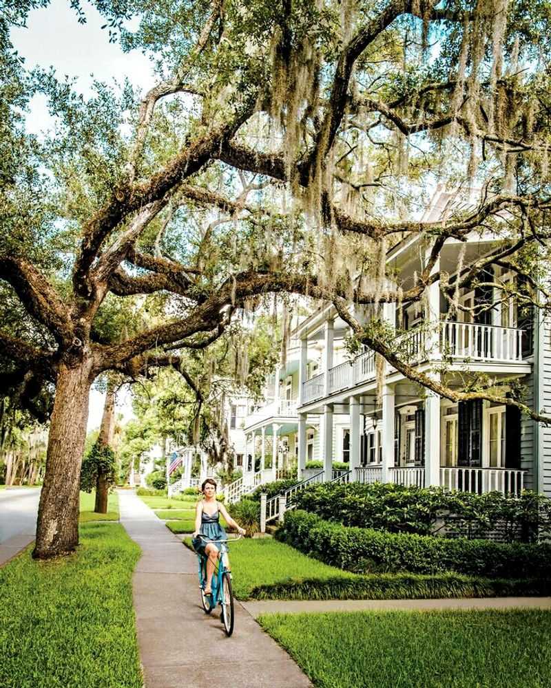 Spanish Moss Avenues in the Historic District