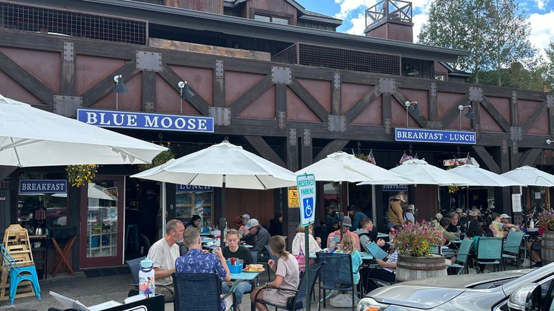 Blue Moose - Steamboat Springs