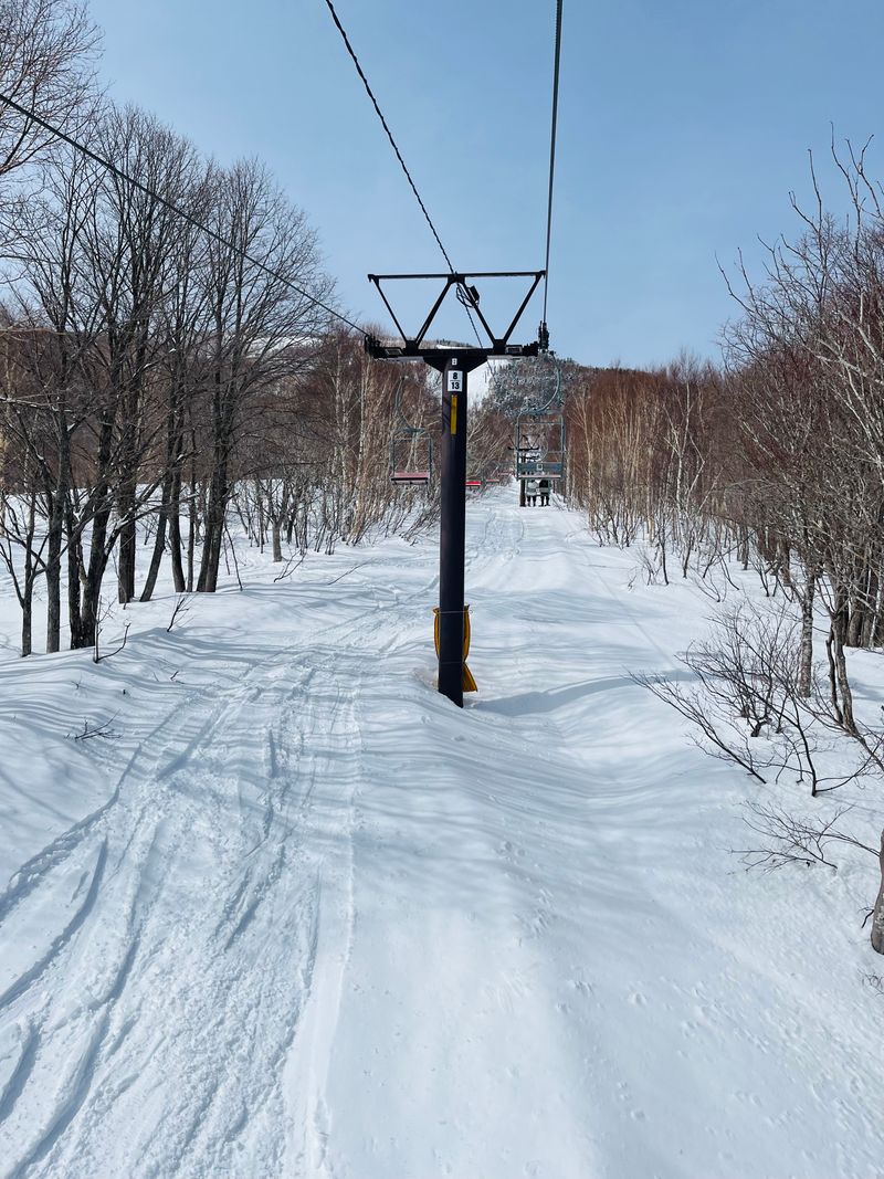 Japan — Powder Skiing & Snow Festivals