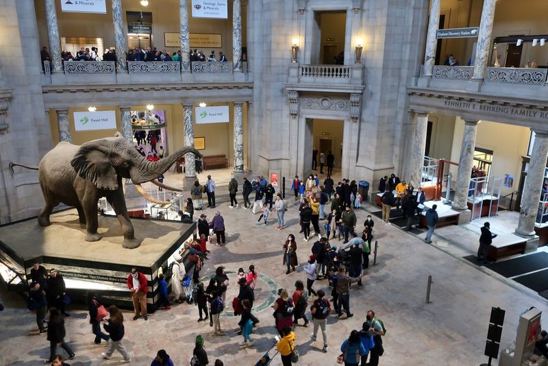 Using Flash Photography in Museums, Zoos, or Cultural Sites