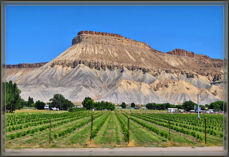 Palisade, Colorado, USA