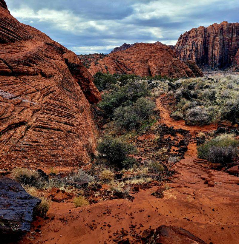 Snow Canyon State Park, Ivins