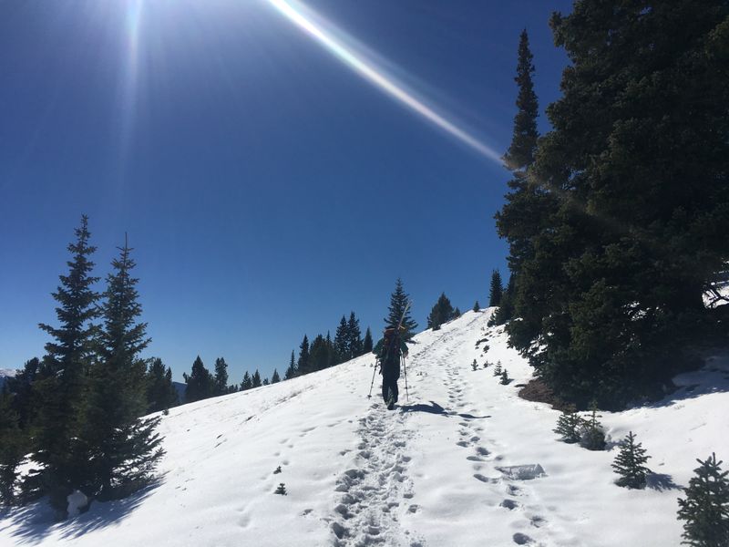 Avalanche Awareness And Local Conditions