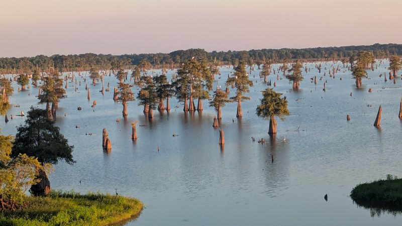 Atchafalaya Basin, Louisiana