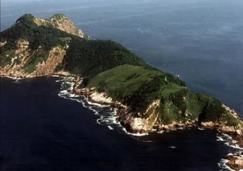 Ilha da Queimada Grande (Snake Island), Brazil