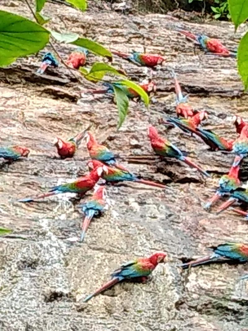 Viral Theories About Ancient Civilizations Are Not Supported