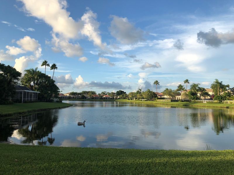 1. It Feels Like Old Florida - In the Best Way