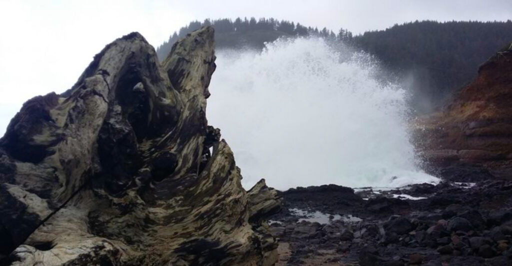 The Hidden Oregon Coastal Town with Tide Pools and Forest Trails