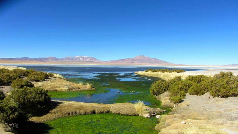 Southern Chile (Lake District)