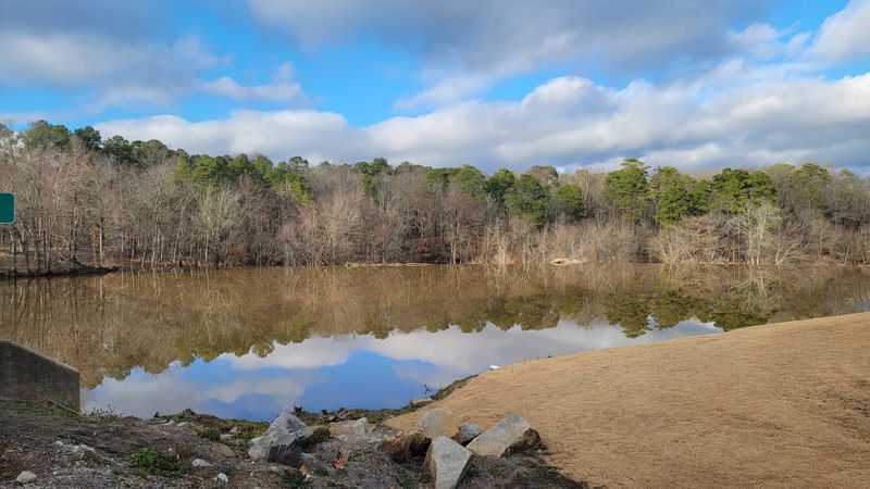 Tar River Shell Beds at Rocky Mount