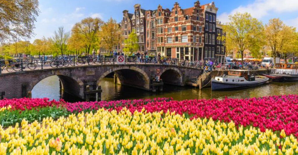 These 15 Cities Are Ideal for Solo Travelers Seeking Safety and Warm Hospitality