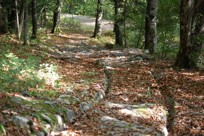 France — Pilgrims’ Way and Via Francigena