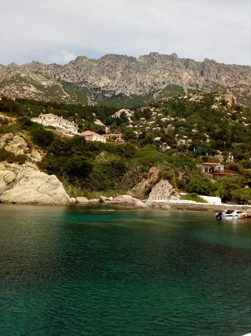 Olive Oil Is the Primary Fat