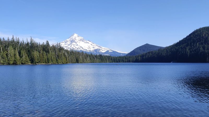 Yes, It Really Does Vanish