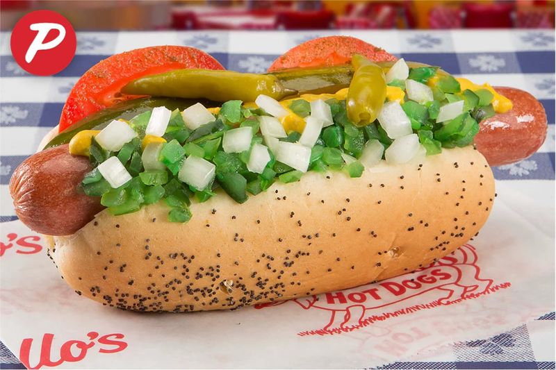 The Classic Chicago-Style Hot Dog