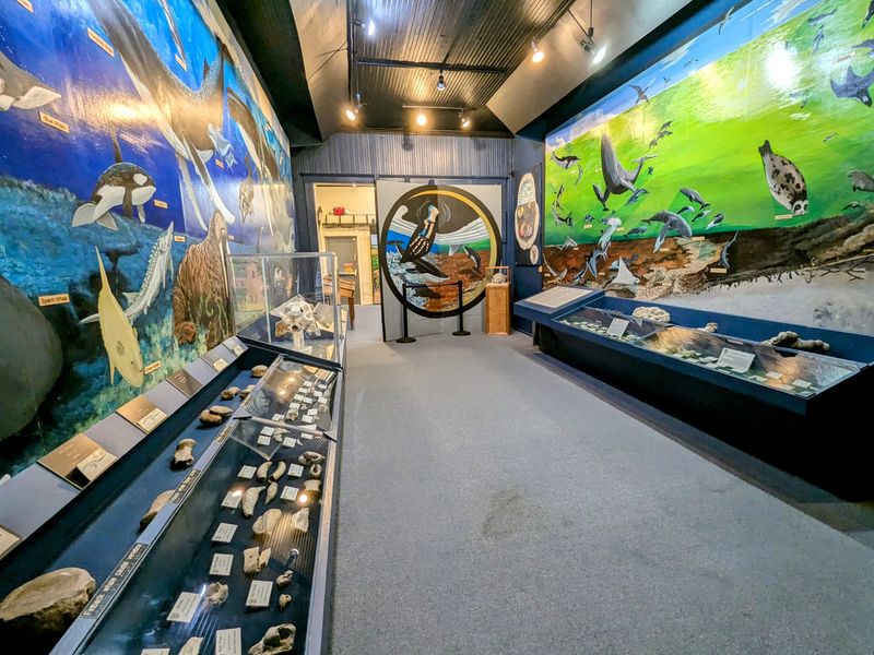 Fossil Fields of Aurora