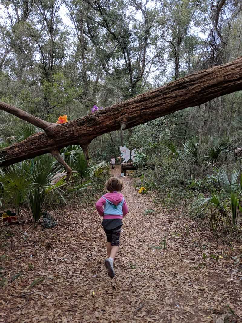 A Whimsical Trail Through the Woods