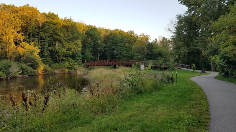 Stroll Downtown Mt Pleasant