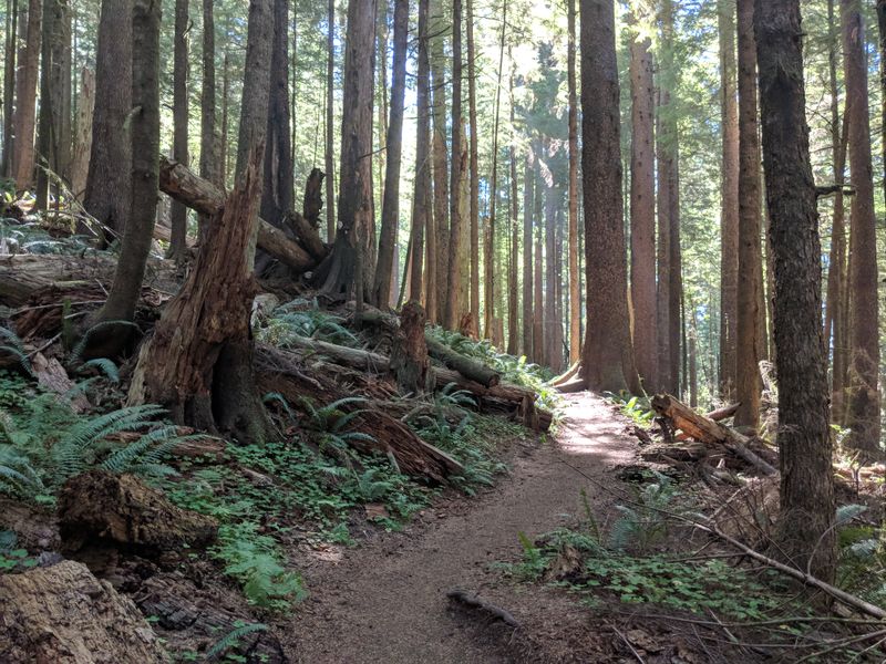 1. The Legend Dates Back to the Late 1600s