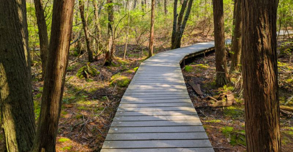 This Quick Massachusetts Hike Packs in More Scenery Than Trails Ten Times Its Length