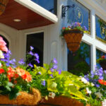 Tiny New York Town Between Rochester And Buffalo With World Class Wine And Zero Tourist Crowds