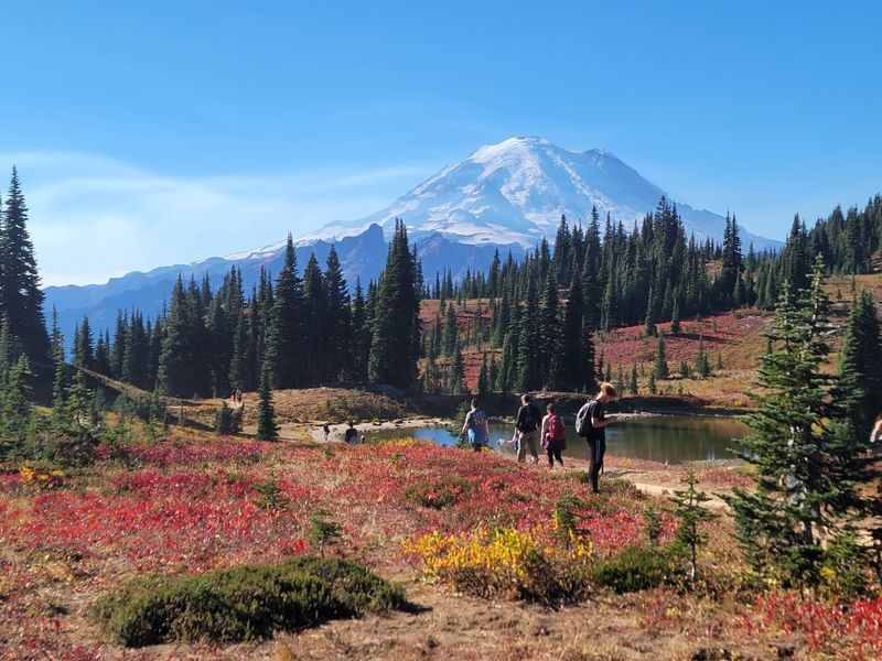 Camping and RV Know How