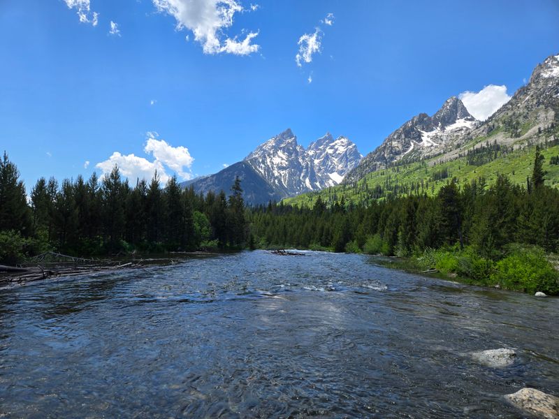 Wildlife Awareness Briefing