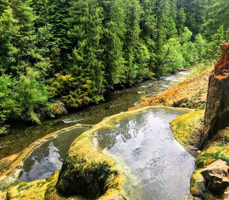 Safety, Closures, And Conditions