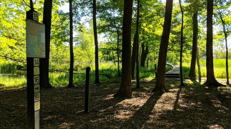 Parking and Access Details