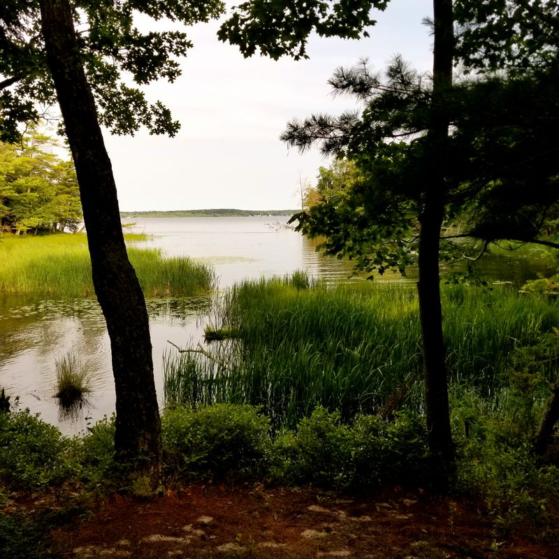 Lake Loop Highlights